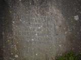 image of grave number 816527